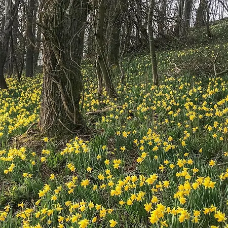 Διαμέρισμα Monas Natur-oase